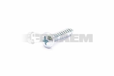 قطع غيار الشاحنات والحافلات - البراغي والفواصل والجوز - DIN7981C 4.2X19