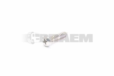 قطع غيار الشاحنات والحافلات - البراغي والفواصل والجوز - DIN7981C 4.2X22
