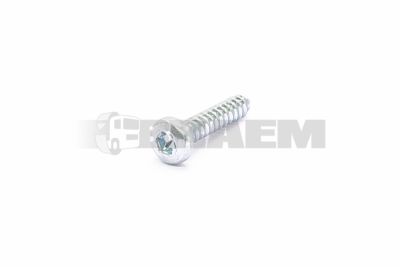 قطع غيار الشاحنات والحافلات - البراغي والفواصل والجوز - DIN7981C 4.8X25 TORX