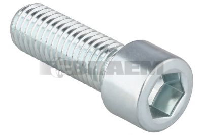 Repuestos camiones y autobuses - Varia - DIN912M12X35 10.9