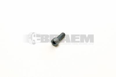Repuestos camiones y autobuses - Varia - DIN912M8X22