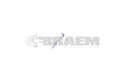 قطع غيار الشاحنات والحافلات - البراغي والفواصل والجوز - DIN931M6X55