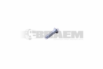 قطع غيار الشاحنات والحافلات - البراغي والفواصل والجوز - DIN933M12X45