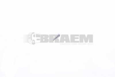 قطع غيار الشاحنات والحافلات - البراغي والفواصل والجوز - DIN933M4X20