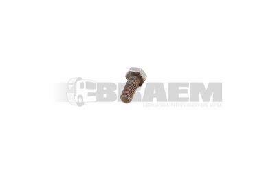 قطع غيار الشاحنات والحافلات - البراغي والفواصل والجوز - DIN961M12X1.5X30