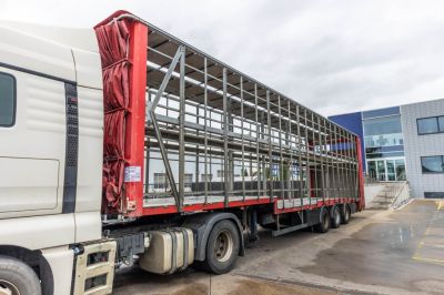 شاحنات مستعملة - LECITRAILER CUELLO CISNE 3E-RD+DOUBLE ETAGE+DHOLLANDIA 2TON