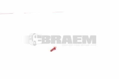 Repuestos camiones y autobuses - Pernos, tuercas y arandelas - MB000000.004425