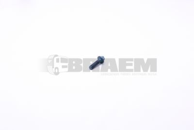 Lkw- und Busersatzteile - Fahrgestell - Chassis Balken - Chassis Boltzen und Mutter - MB000000.005393