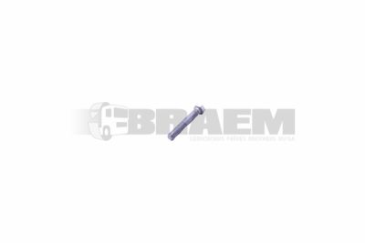 Lkw- und Busersatzteile - Fahrgestell - Chassis Balken - Chassis Boltzen und Mutter - MB000000.005476