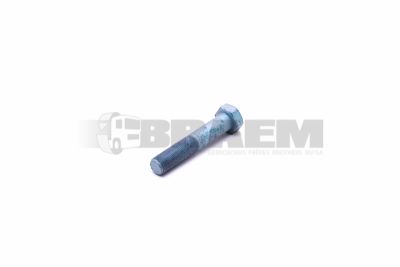 Lkw- und Busersatzteile - Fahrgestell - Chassis Balken - Chassis Boltzen und Mutter - MB000000.005506