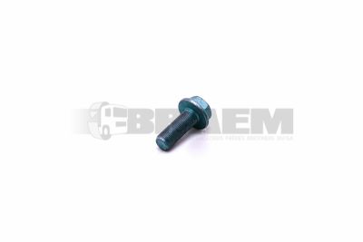 Lkw- und Busersatzteile - Fahrgestell - Chassis Balken - Chassis Boltzen und Mutter - MB000000.005580