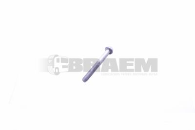 Repuestos camiones y autobuses - Pernos, tuercas y arandelas - MB000000.005719