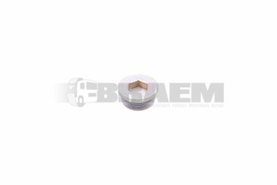 Lkw- und Busersatzteile - Fahrgestell - Chassis Balken - Chassis Boltzen und Mutter - MB000908.042001