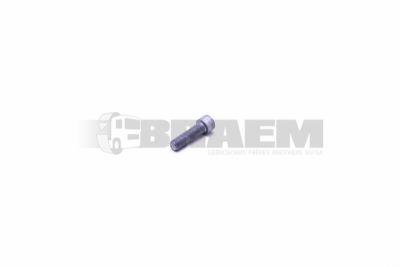 Lkw- und Busersatzteile - Fahrgestell - Chassis Balken - Chassis Boltzen und Mutter - MB000912.014087