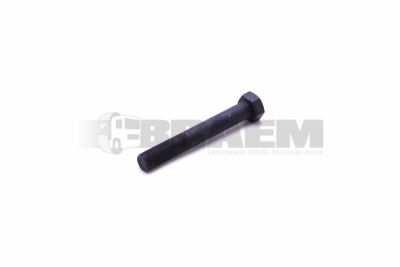 Lkw- und Busersatzteile - Fahrgestell - Chassis Balken - Chassis Boltzen und Mutter - MB000960.018062