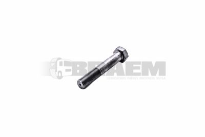 Lkw- und Busersatzteile - Fahrgestell - Chassis Balken - Chassis Boltzen und Mutter - MB000960.020201