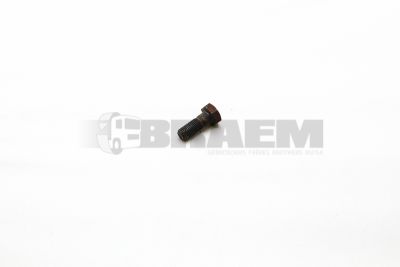Repuestos camiones y autobuses - Pernos, tuercas y arandelas - MB308676.012013