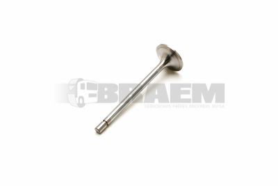 قطع غيار الشاحنات والحافلات - المحرك - غطاء المحرك - الصمامات والاكسسوارات - MB366.050.03.26