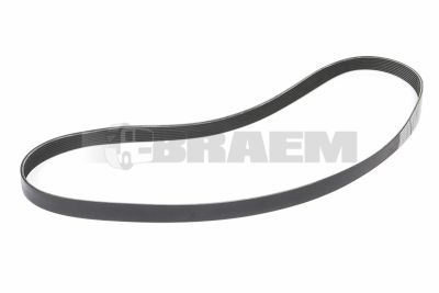 قطع غيار الشاحنات والحافلات - المحرك - تبريد المحرك - حزام - MB906.993.89.96
