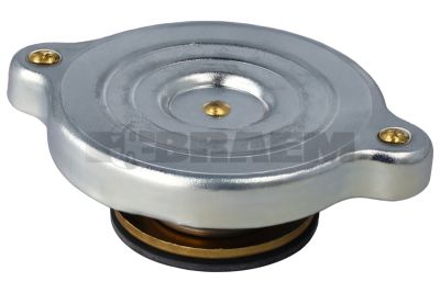 Repuestos camiones y autobuses - Motor - Inyeccion y turbo - Accesorios - MOT1.971.0001
