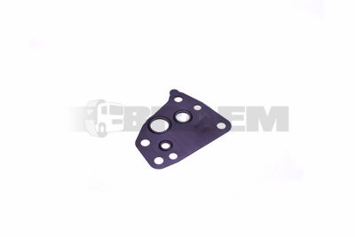 Repuestos camiones y autobuses - Cabina - Carroceria cabina  - Puerta y puerta extensión  - PAK7038