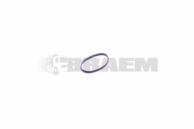 Lkw- und Busersatzteile - Lager, Gummiblock, Dichtung, Feder - Dichtung, Dichtring und Gummi - PAK781