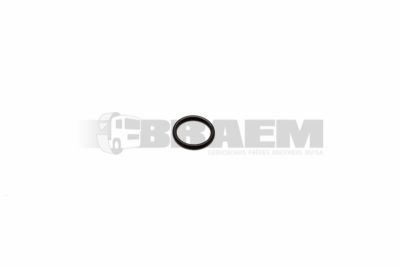 Vrachtwagen- en busonderdelen - Lager, rubberblok, vetring, veer - Dichting, vetring en rubber - PAKO1010