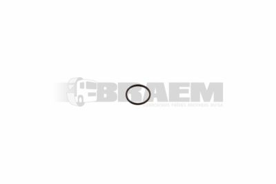 Vrachtwagen- en busonderdelen - Lager, rubberblok, vetring, veer - Dichting, vetring en rubber - PAKO1054