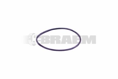 قطع غيار الشاحنات والحافلات - المحرك - غطاء المحرك - قطعة الاسطوانة - PAKO1068
