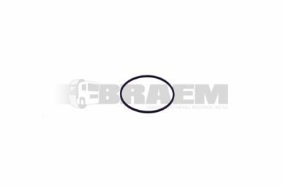 قطع غيار الشاحنات والحافلات - المحرك - تزييت المحرك - المستلزمات ( الاكسسوارات ) - PAKO1156