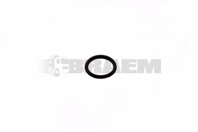 Repuestos camiones y autobuses - Motor - Inyeccion y turbo - Inyector - REI40-76179-00
