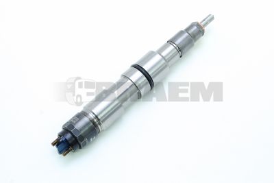 Repuestos camiones y autobuses - Motor - Inyeccion y turbo - Inyector - R.INJ.001.4791