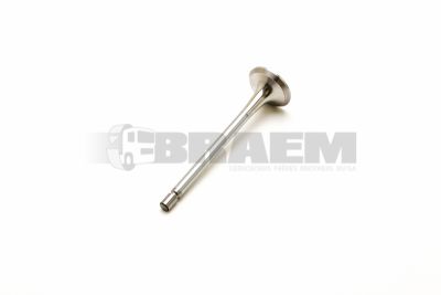 قطع غيار الشاحنات والحافلات - المحرك - غطاء المحرك - الصمامات والاكسسوارات - TRW160055