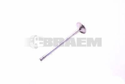 قطع غيار الشاحنات والحافلات - المحرك - غطاء المحرك - الصمامات والاكسسوارات - TRW16210