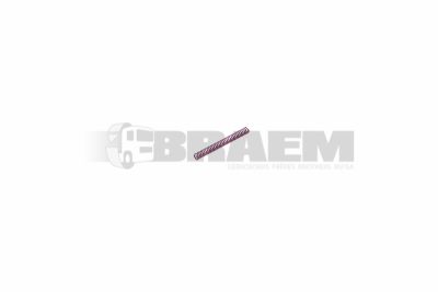 Truck and bus spare parts - bearing, rubber block, seal, feather - Feather - VSB2.993.0010