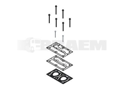 قطع غيار الشاحنات والحافلات - نظام الفرامل - ضاغط الهواء - المستلزمات (الاكسسوارات ) - WES412.704.938.2