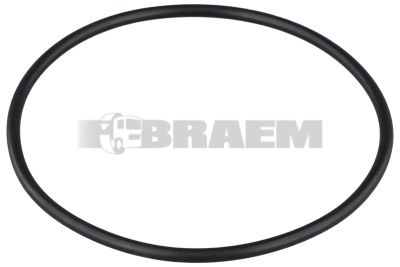 Vrachtwagen- en busonderdelen - Lager, rubberblok, vetring, veer - Dichting, vetring en rubber - ZF0501.301.250
