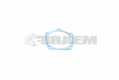 Truck and bus spare parts - Gearbox - Gearbox and transfer case - Gaskets - ZF0501.313.044