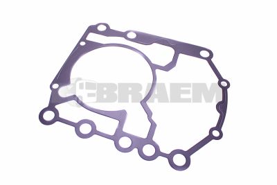 قطع غيار الشاحنات والحافلات - علبة التروس - Nmv - الجوانات - ZF0501.316.267