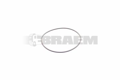 Truck and bus spare parts - Gearbox - Gearbox and transfer case - Gaskets - ZF0501.320.311