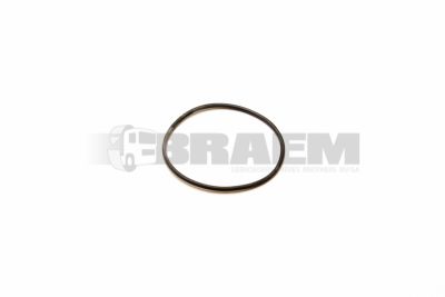 قطع غيار الشاحنات والحافلات - علبة التروس - جير بوكس (علبة التروس ) وناقل الحركة - الجوانات - ZF0634.313.191