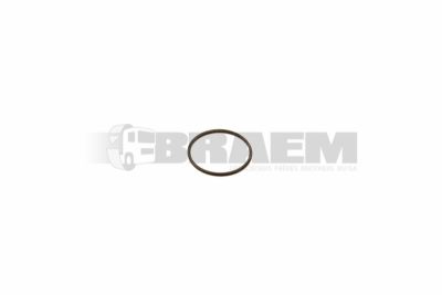 Lkw- und Busersatzteile - Getriebe - Getriebe und Transferase - Dichtung - ZF0634.314.304