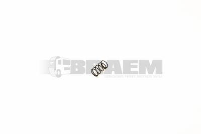 Lkw- und Busersatzteile - Getriebe - Getriebe und Transferase - Synchronisation - ZF1204.307.334