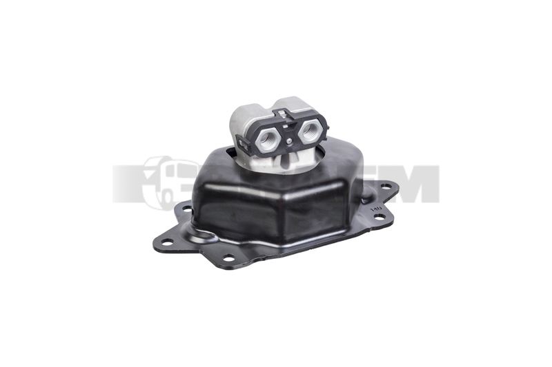Pièces détachées camions et bus - Moteur - Support moteur - Silentbloc moteur - VBA004.818
