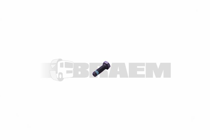 Lkw- und Busersatzteile - Befestigungsmaterial divers - 06.02834.6512
