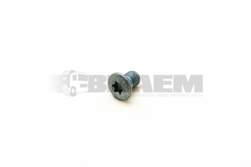 Lkw- und Busersatzteile - Befestigungsmaterial divers - 06.04303.2907