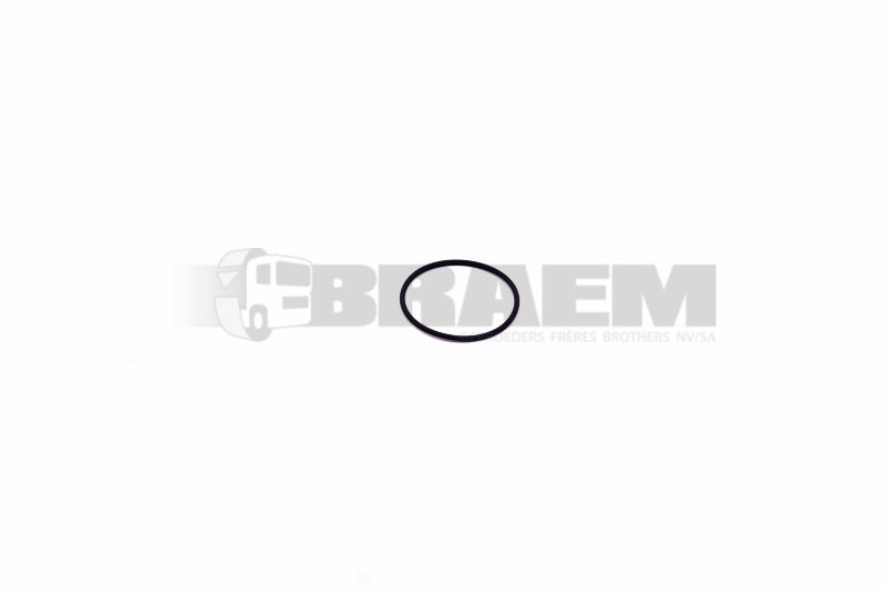 Lkw- und Busersatzteile - Motor - Inspritzeinlage und Turbo - Einspritzpumpe - BOSF00N.201.306