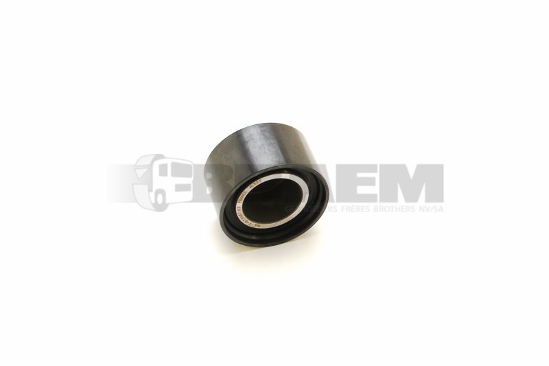 Truck and bus spare parts - Engine - Engine cooling - Belt tensioner - DAYAPV2971