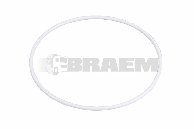 Lkw- und Busersatzteile - Motor - Inspritzeinlage und Turbo - Zubehör - ELR845.870