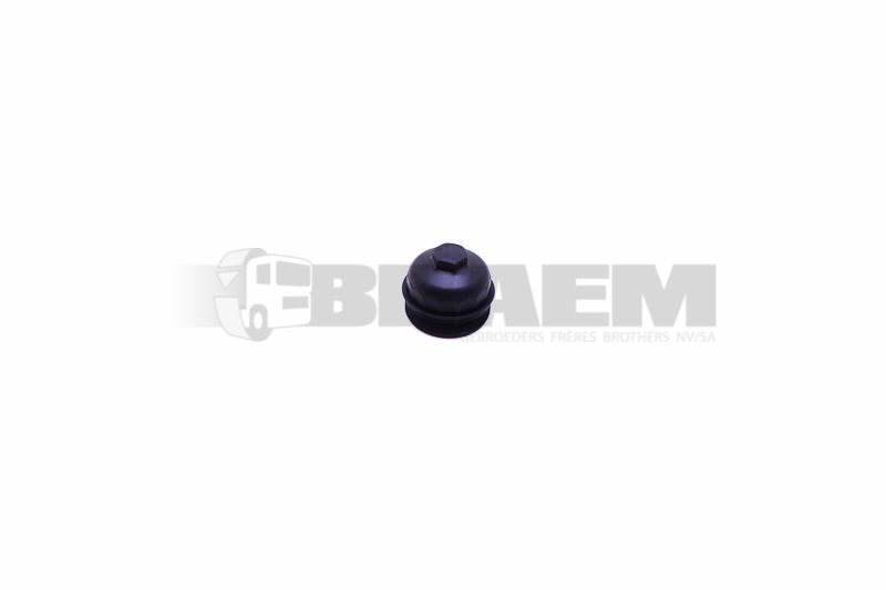 Lkw- und Busersatzteile - Motor - Inspritzeinlage und Turbo - Kraftstofffilter - FIL6040